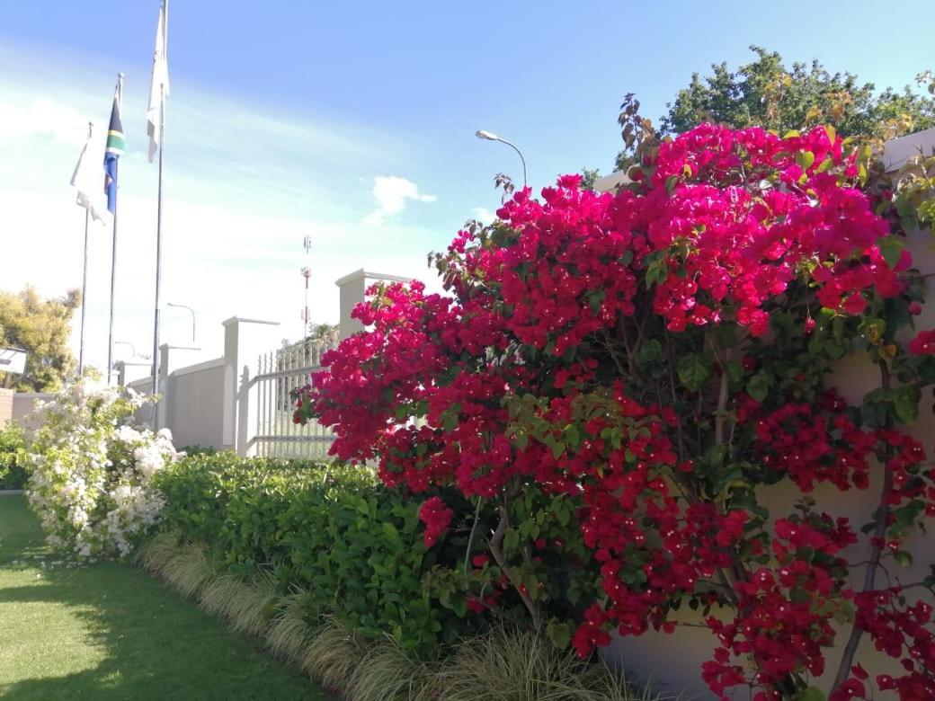 Monte Rosa Guesthouse Rawsonville Esterno foto