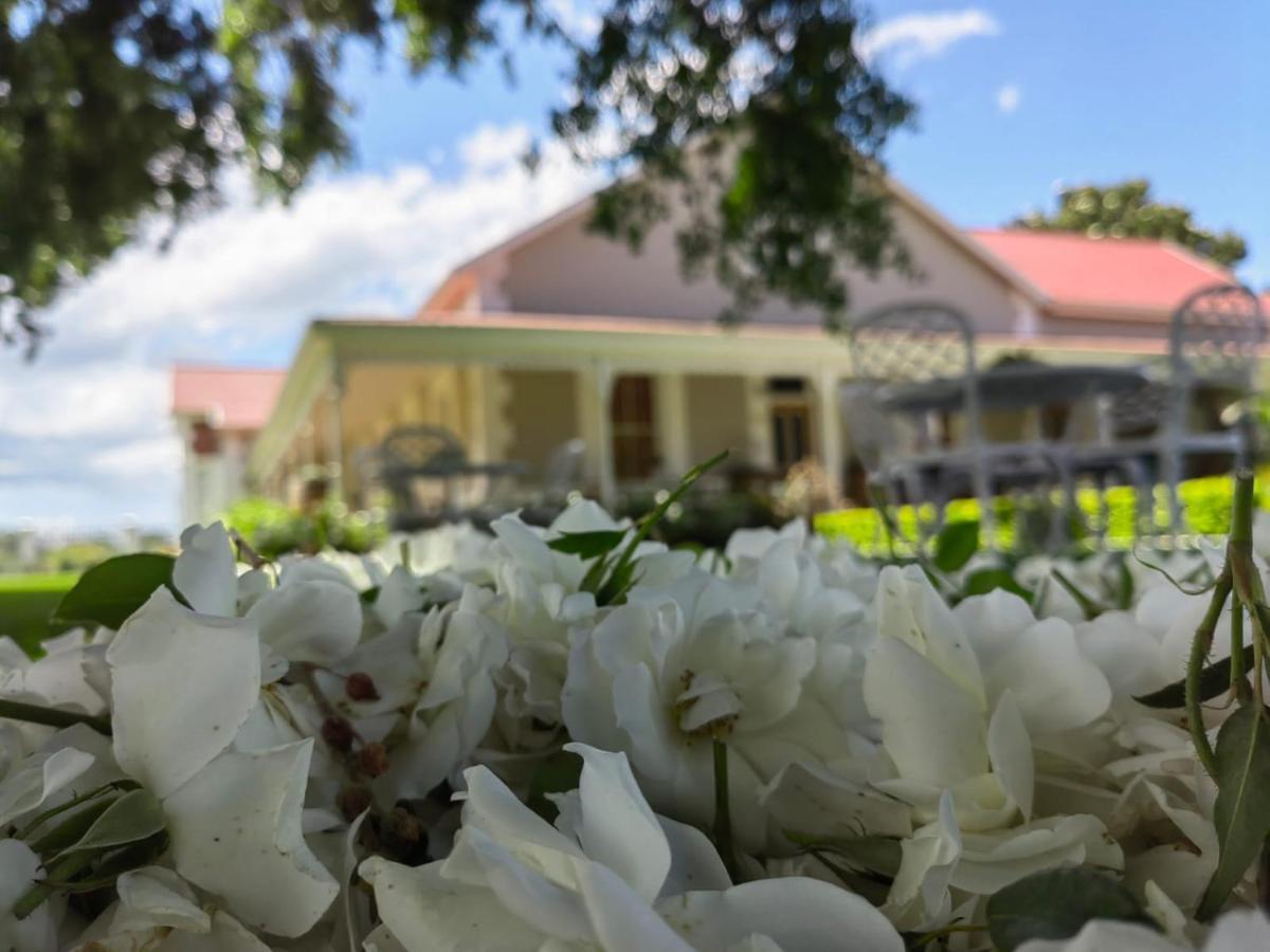 Monte Rosa Guesthouse Rawsonville Esterno foto